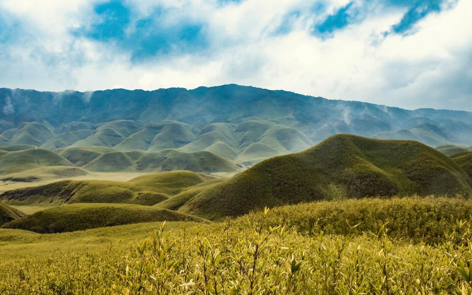 Nagaland 1