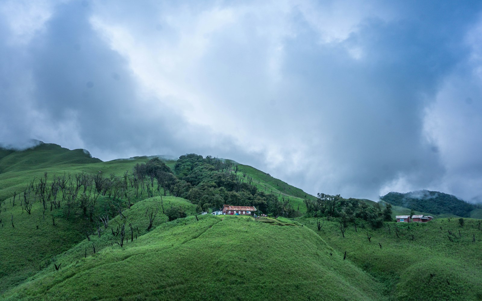 Nagaland 2